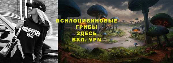 ПСИЛОЦИБИНОВЫЕ ГРИБЫ Богородицк