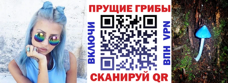 Галлюциногенные грибы Cubensis  Макаров 